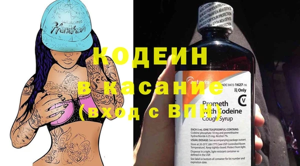 хмурый Алексин