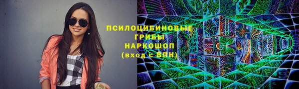 гидра Зеленокумск
