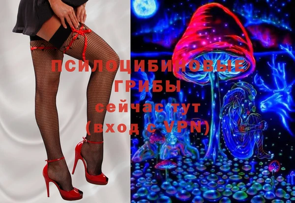 хмурый Алексин