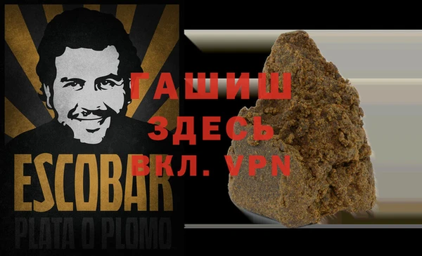 хмурый Алексин