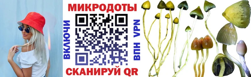 Галлюциногенные грибы ЛСД  ссылка на мегу как зайти  Копейск  цена наркотик 